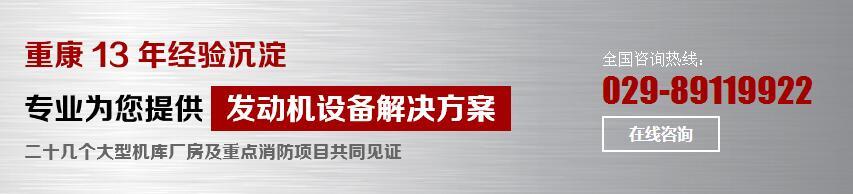 發(fā)動機(jī)配件 發(fā)動機(jī)配件